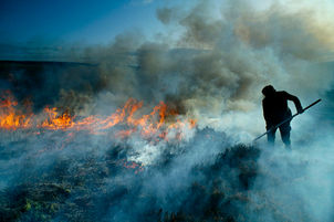 Wildfires – fighting fire with fire?