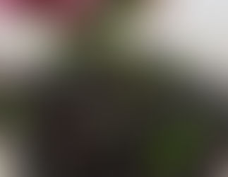 Eindelijk weer koffieuurtje!