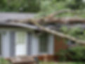 storm.jpg