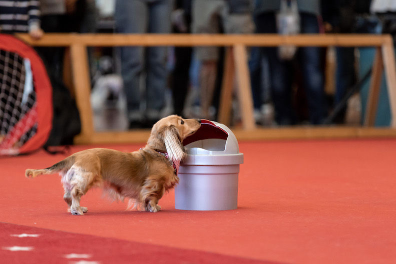 Tilly-Tissue-bucket-1