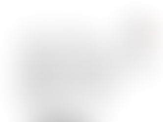 KONUS 2022- wir planen den Konus in Waldshut-Tiengen