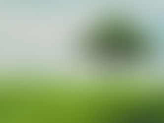 One Lifetime, One Legacy