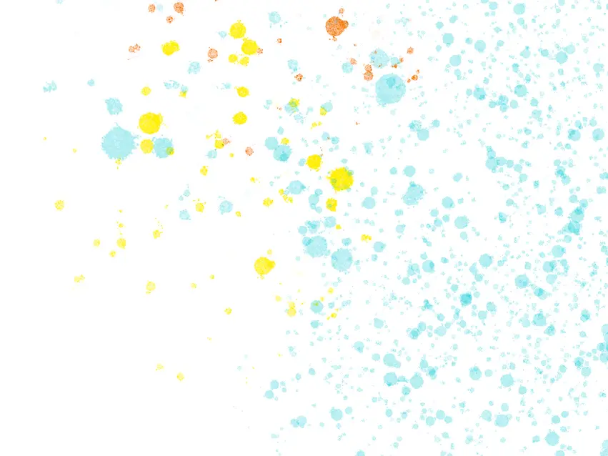 Dot back.webp