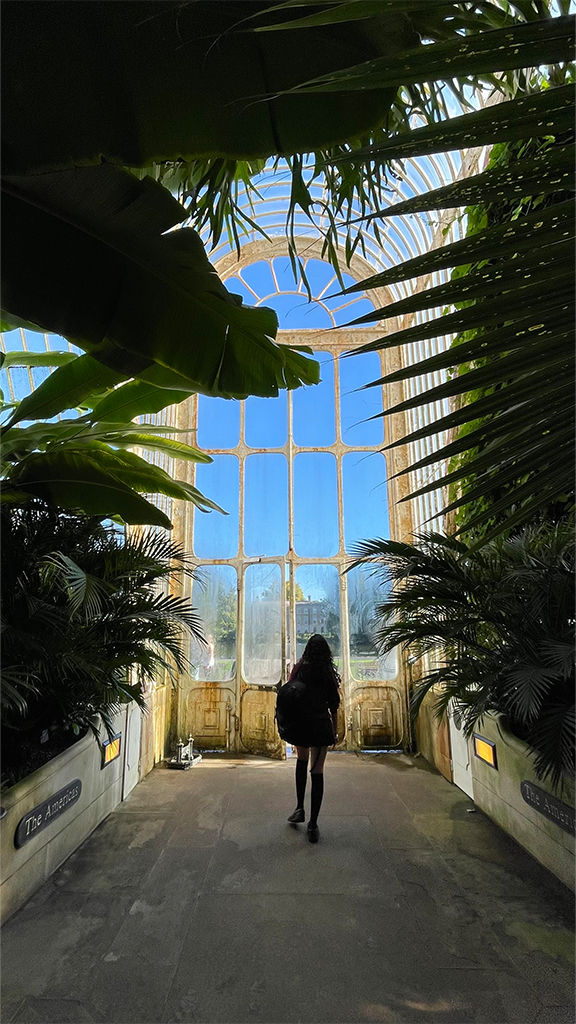 Credits: Analuz ArévaloLocation: Kew Gardens, London