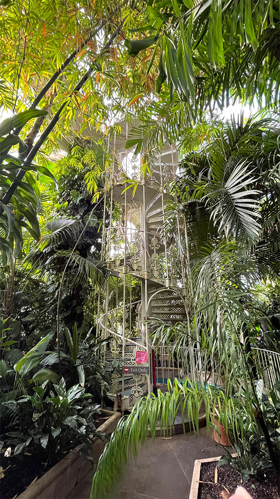 Credits: Analuz ArévaloLocation: Kew Gardens, London