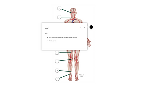 Rise Labeled Graphic