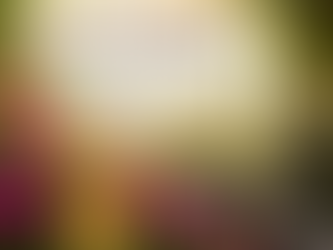 Jian's Garden — Summer Dahlias