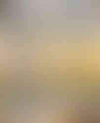 La Samaritaine. Acervo pessoal