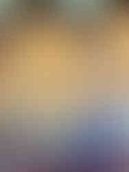 Palau de La Música Catalana. Acervo pessoal 