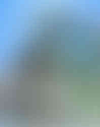 La Samaritaine. Acervo pessoal