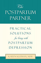 The Postpartum Partner.jpeg
