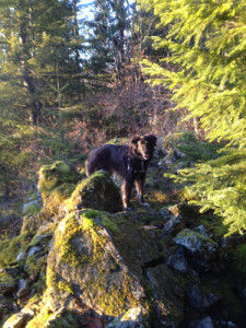 February Rainforest Update