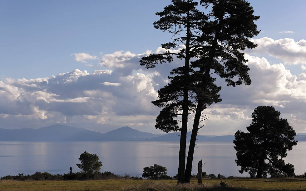 lake-taupo01_Rotator