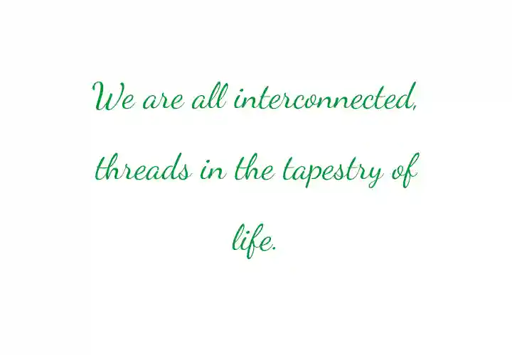 one-hour quote