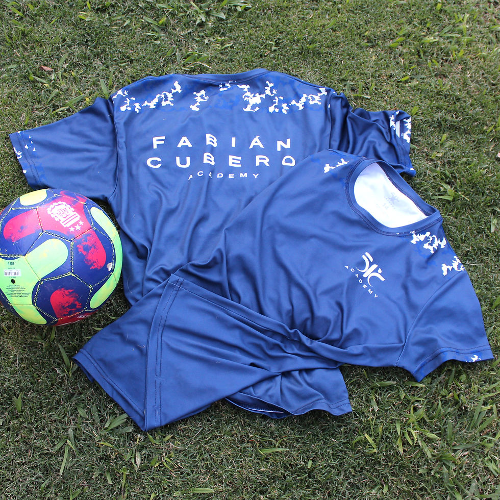 Remera Entrenamiento