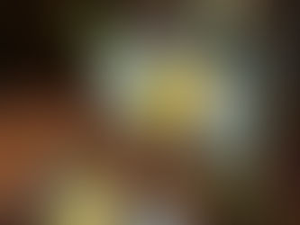 Key Differences in Gin Production Techniques Exploring Japanese Gin like Roku and Traditional Methods