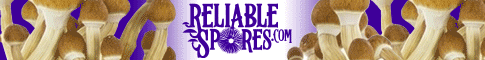 reliable_spores_485x60_animated copy.gif