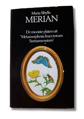 Merian.png