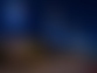 3000 مجسم يزين مدن الظفرة احتفالاً بعيد الاتحاد الـ54