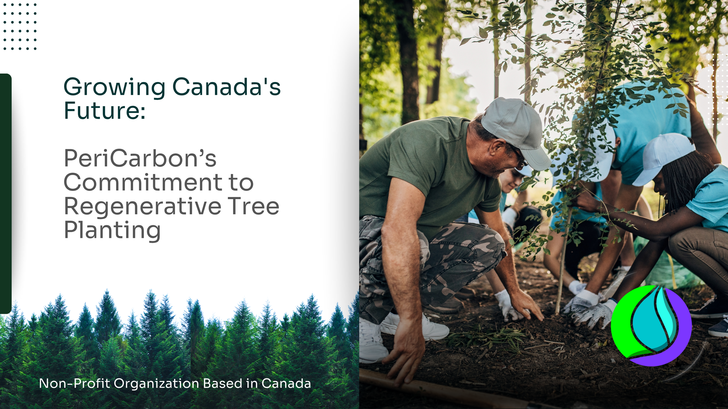 Canadian Reforestation Initiative | Plant Trees and Restore Ecosystems ...