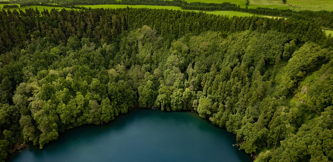 green-forest-near-calm-lake-in-highlands-2022-11-23-00-45-56-utc.jpg