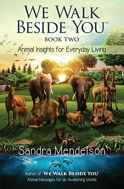 We Walk Beside You Book 2 Cover Image
