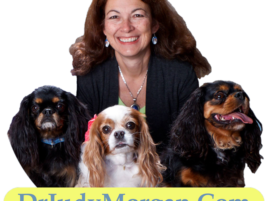 The Dr. Judy Morgan Healthy Pets Show With Sandra Mendelson