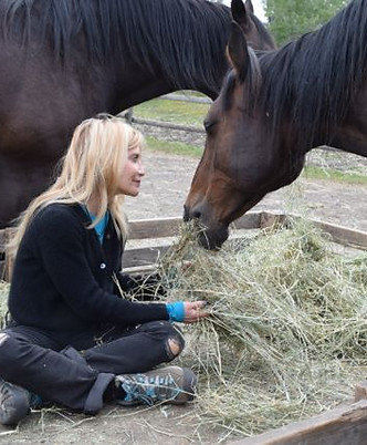 Communicating with horses