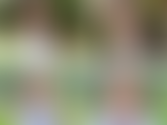 Park Eun Bin viraliza ao provar que sua beleza atravessa o tempo: fotos com 12 anos de diferença impressionam fãs.