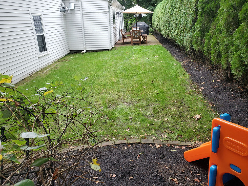 Patio (before)