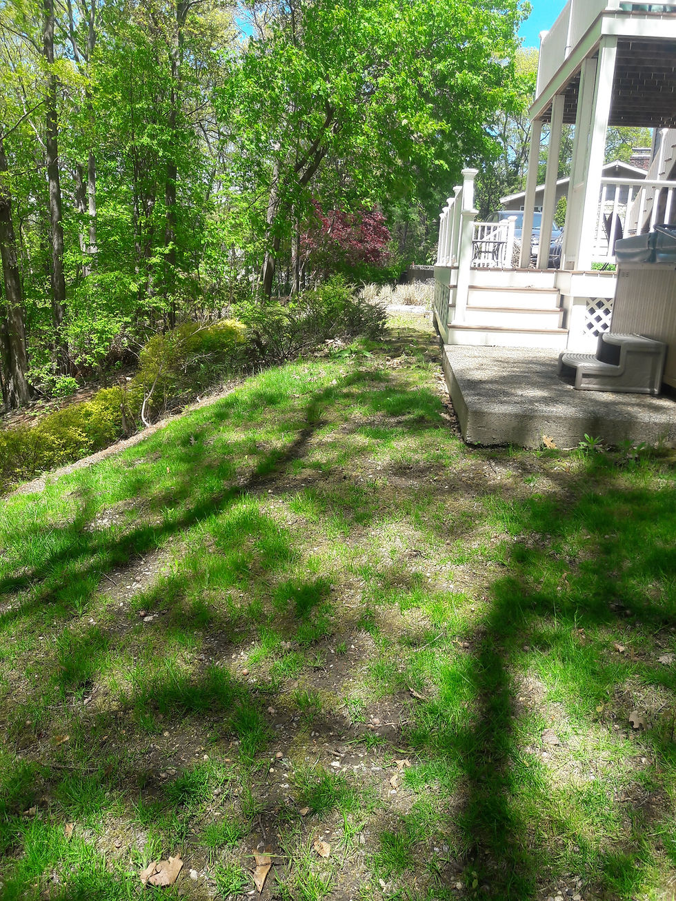 Yankee Cobble Paver Walkway (before)