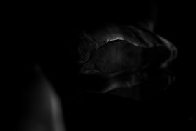 02 - Ballet 1.JPG