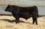 L151