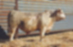 L46
