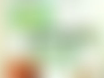 Parution La magazine SO-EN 08 2011