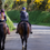 Thumbnail: ride with confidence, confident rider, riding confidence, riding with confidence, lost confidence horse riding,