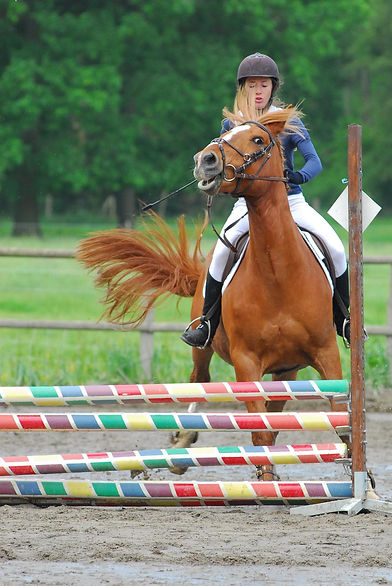 ride with confidence, confident rider, riding confidence, riding with confidence, lost confidence horse riding, rider confidence courses, rider confidence course, confidence equine, confident horse rider, horse rider confidence, horse riding confidence, confidence horse riding, confidence in horse riding, horse confidence course, how to stop being a nervous horse rider, horse riding confidence courses, hypnotherapy for horse riding confidence, confident riding, hypnosis for horse riding, equestrian hypnotherapy, nervous horse rider, scared to ride my horse, confidence building for horse riders,