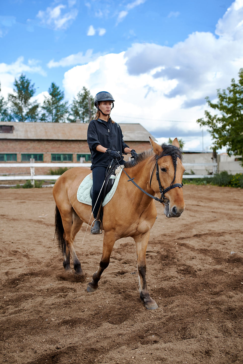 A woman riding a horse in a sand school