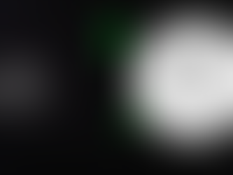 "Maximizing Revenue through Dynamic Pricing: Strategies for Last-Minute Bookings"