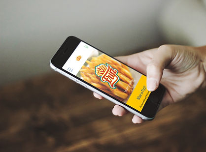 fryz mockup.jpg
