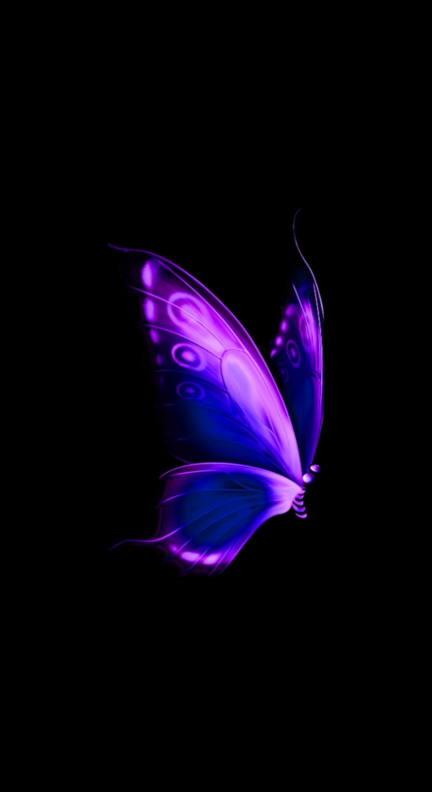 Foto del escritor: Mariposa