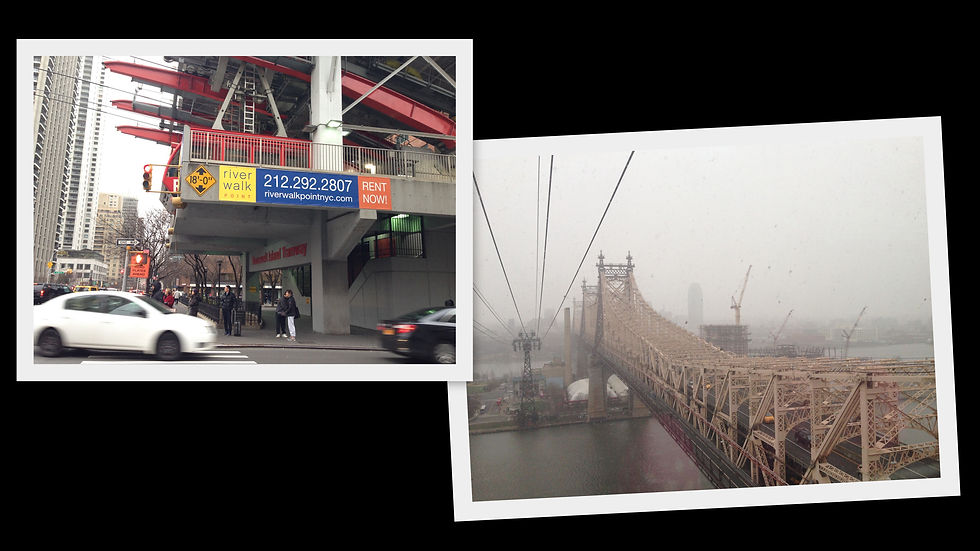 Bondinho para Roosevelt Island, 2016. Fotos: Arquivo pessoal