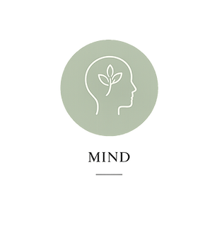 ✅ peace-mind-icon.webp