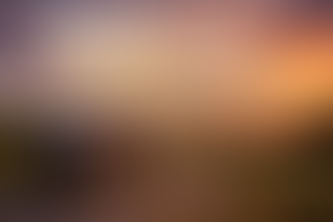 Van Life in 2025: A UK Year in Review