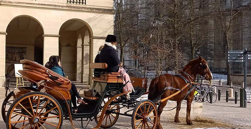 坐着马车,一起在奥尔良拥有一段浪漫之旅吧!BALADE ROMANTIQUE EN CALÈCHE AU CŒUR D'ORLÉANS