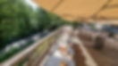 PHOTO BARON1.jpg
