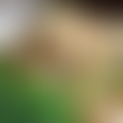 Farro Salad with Lemon Vinaigrette