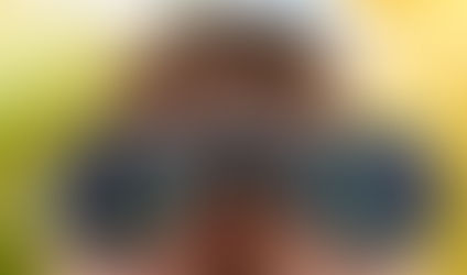 D. R. Segal's Observations of R. C. Hoiles