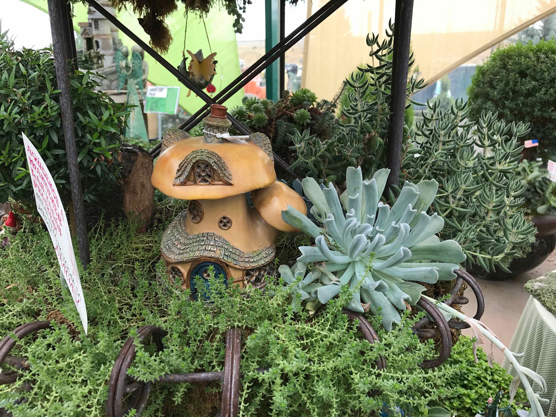More Fairy Garden