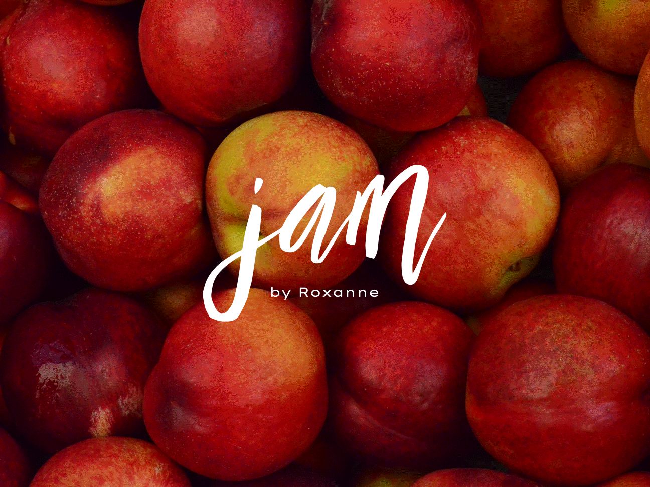 JAM_Hero-forhomepage.gif